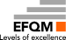 Logo EFQM - Levels of excellence